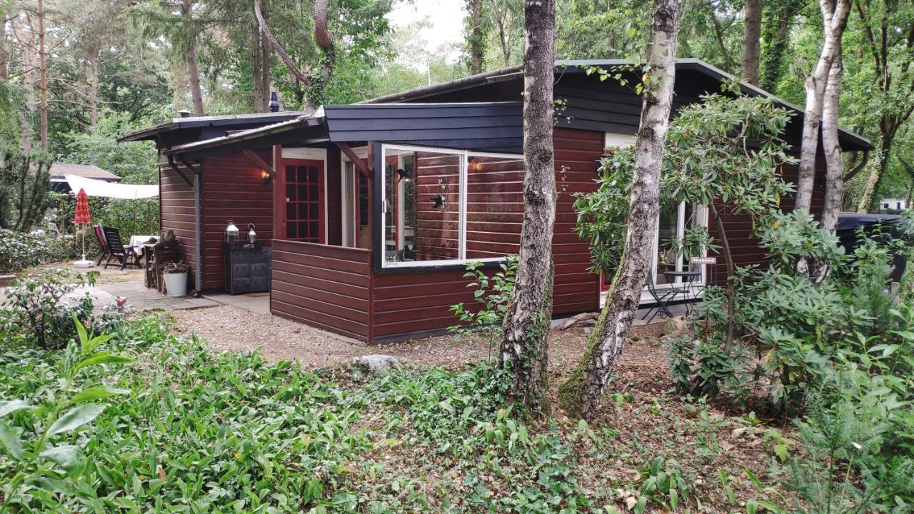 Bosbungalow De Eekhoorn ヌンスペート エクステリア 写真