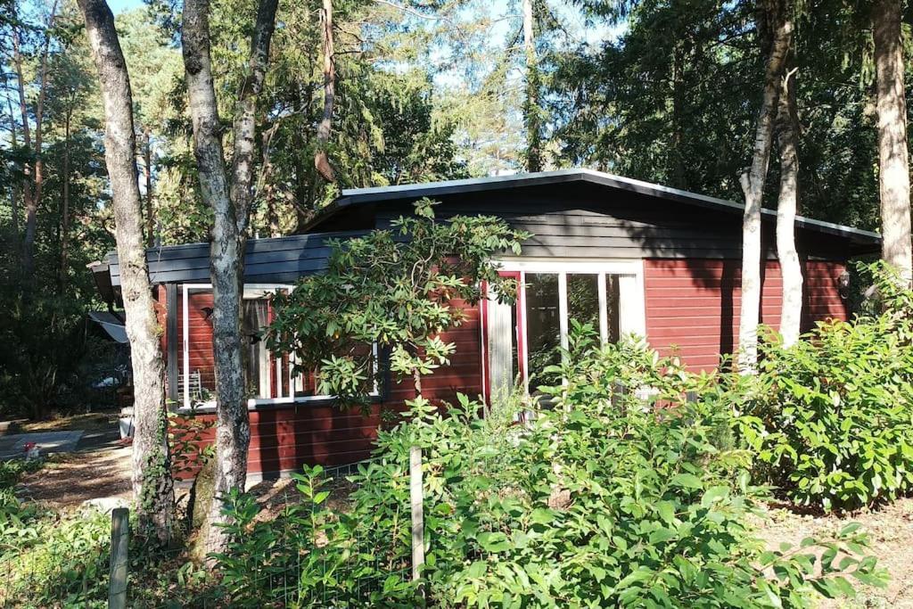 Bosbungalow De Eekhoorn ヌンスペート エクステリア 写真