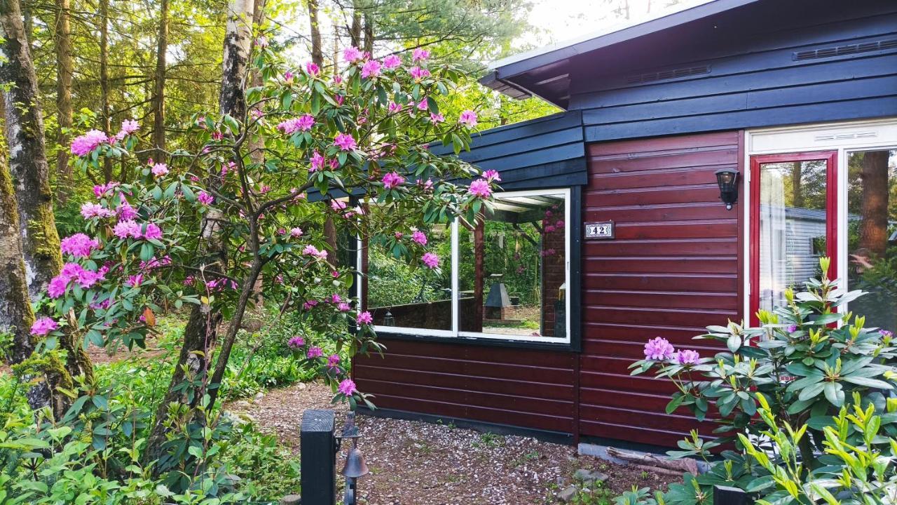 Bosbungalow De Eekhoorn ヌンスペート エクステリア 写真
